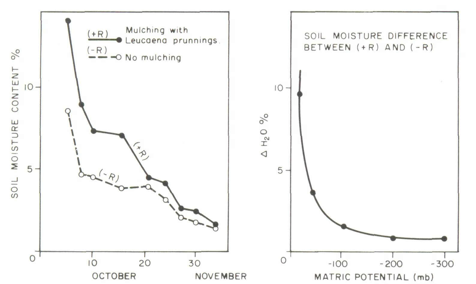 9_Soil productivity and sustainability in agroforestry systems